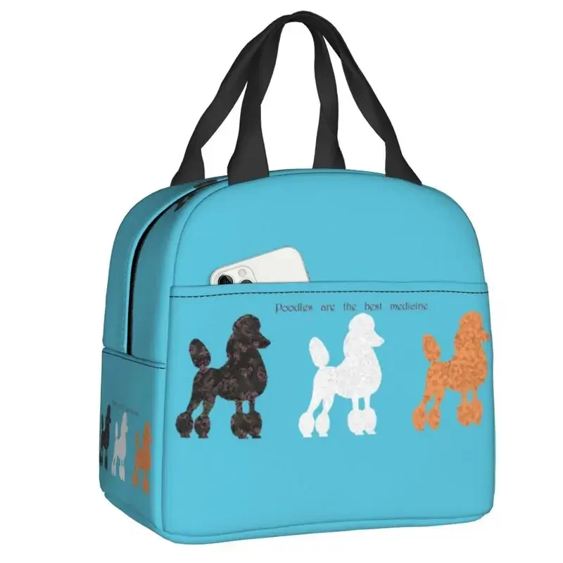 Women'S Best Bags For Work - França padrão poodle isolado almoço saco